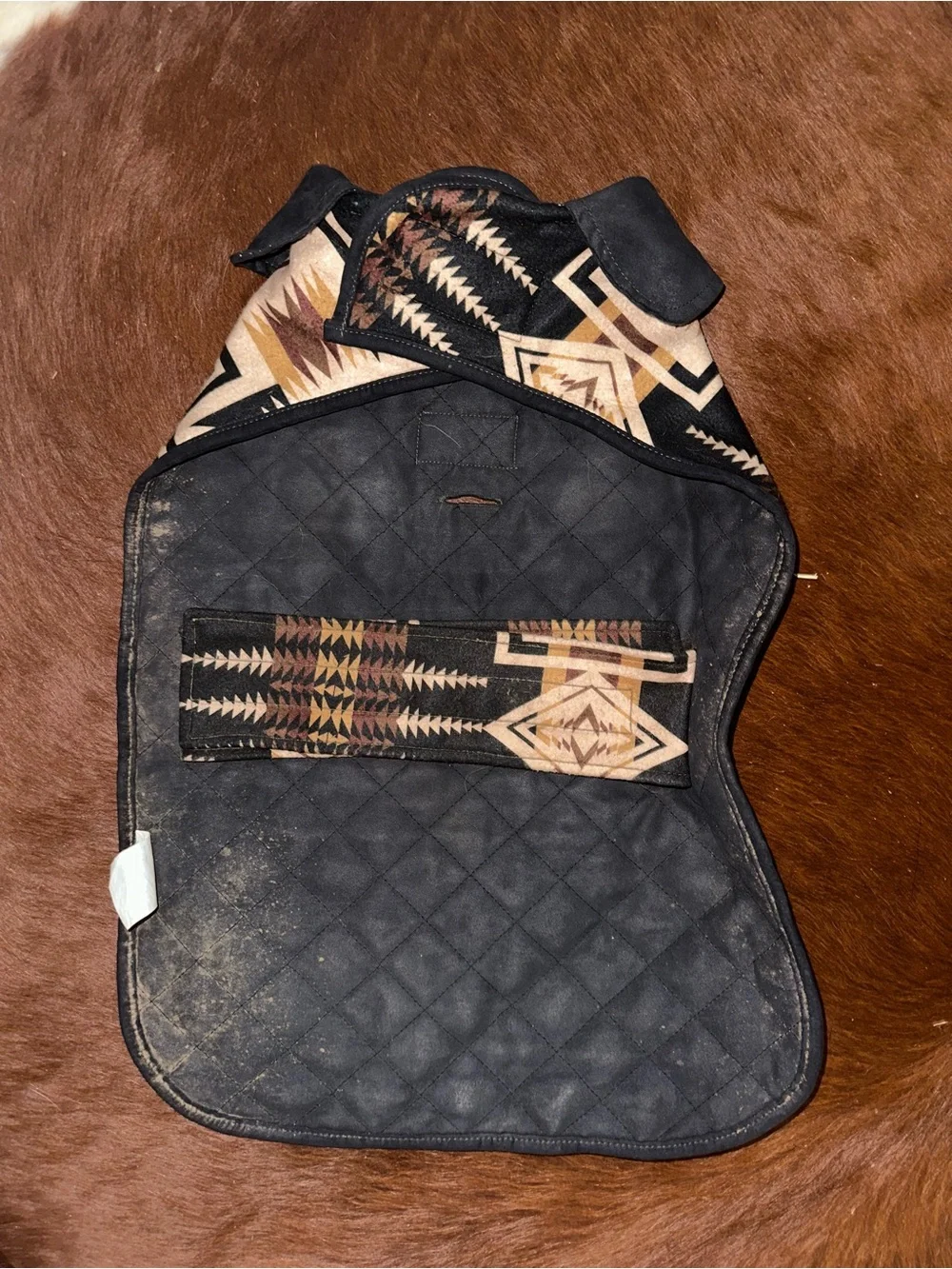 Pendleton dog coat